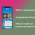 Introducing the Link in Bio tool 